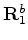 $ {\bf\Lambda}^{b}_{1}$