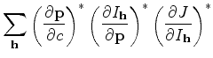 $\displaystyle \sum_{\bf h} \left ( \frac{\partial {\bf p}}{\partial c} \right )...
...al {\bf p}} \right )^* \left ( \frac{\partial J}{\partial I_{\bf h}} \right )^*$