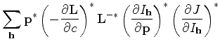 $\displaystyle \sum_{\bf h} {\bf p}^* \left(-\frac{\partial {\bf L}}{\partial c}...
...\partial {\bf p}}\right)^* \left(\frac{\partial J}{\partial I_{\bf h}}\right)^*$