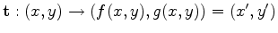 $ \mathbf{t}: (x,y)\rightarrow(f(x,y),g(x,y))=(x',y')$
