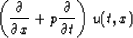 \begin{displaymath}
\left( \frac{\partial}{\partial x} + p \frac{\partial}{\partial t} \right) u(t,x)\end{displaymath}
