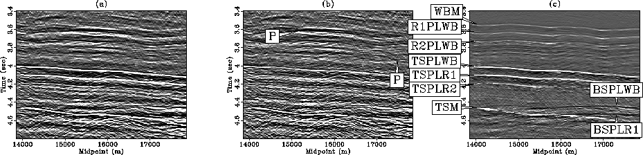 stackcomp.zoom.3.gulf