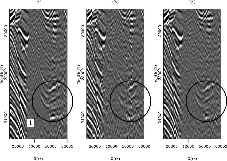 signal-2D-3D-PEF-small-mig