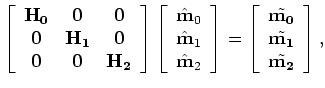 $ \tilde {\bf m_i}$
