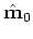 $ \hat{{\bf m}}_{1}$