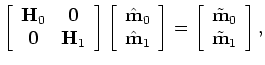 $\displaystyle \left [ \begin{array}{cc} \hat{{\bf m}}_{0}  \hat{{\bf m}}_{1} ...
...begin{array}{cc} \tilde {\bf m}_{0}  \tilde {\bf m}_{1} \end{array} \right ].$