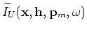 $\displaystyle \widetilde{I}_D({\bf x},{\bf h},{\bf p}_m,\omega)$