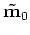 $ {\bf\tilde m}_{1}$