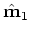 $\displaystyle \left [ \begin{array}{cc} \hat{\bf m}_{0}  \hat{\bf m}_{1} \end...
...begin{array}{cc} \tilde {\bf m}_{0}  \tilde {\bf m}_{1} \end{array} \right ],$