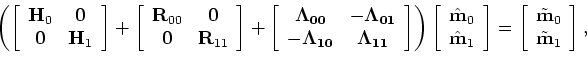 \begin{displaymath}\begin{array}{ccc} {\bf R_{ij} = { {\epsilon_i R'}_i \epsilon...
...da'}_{\bf i}} \zeta_{\bf j} {\bf\Lambda_{ j}}}} \end{array} .\end{displaymath}