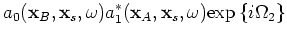 $\displaystyle a_1(\mathbf{x}_B,\mathbf{x}_s,\omega)a_0^*(\mathbf{x}_A,\mathbf{x}_s,\omega) \mathrm{exp} \left\{ i\Omega_3 \right\}$