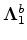 $ (^{b})$