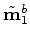 $ {\bf\hat m}^{b}_{1}$