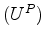 $ (U^S)$