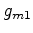 $ {g_{m1}}$