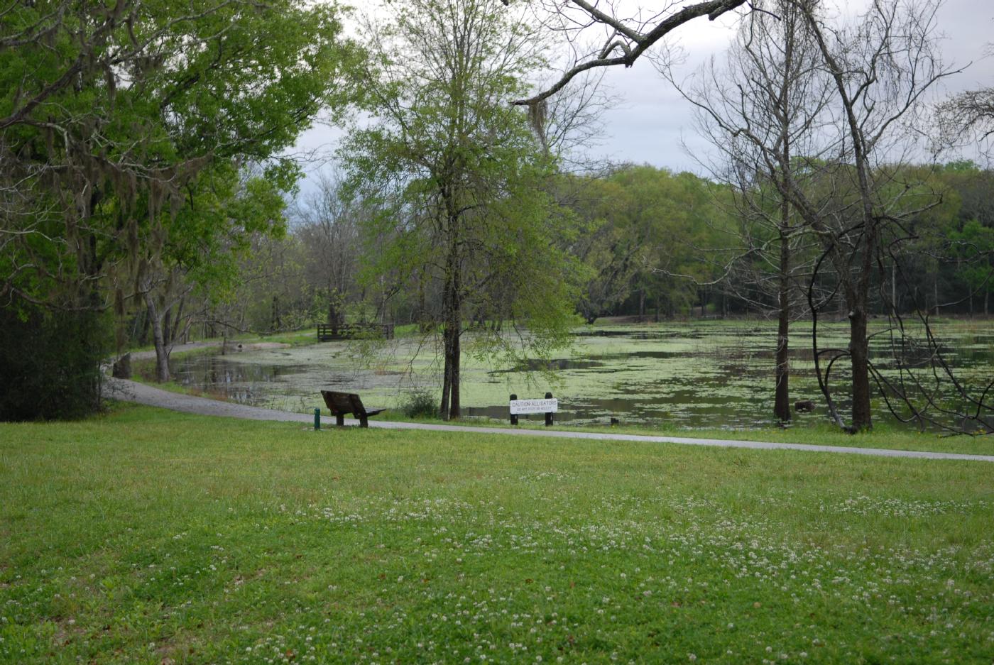 Creekfield lake at Brazos Bend State Park