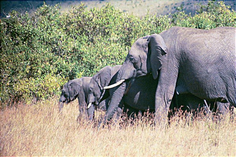Africa Trip Photos