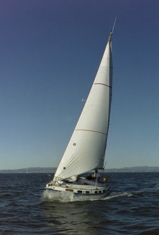 Hull number code