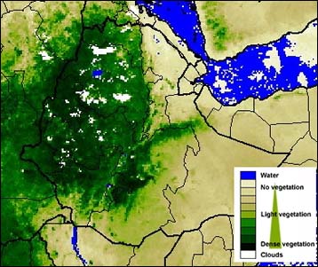 Vegetation map