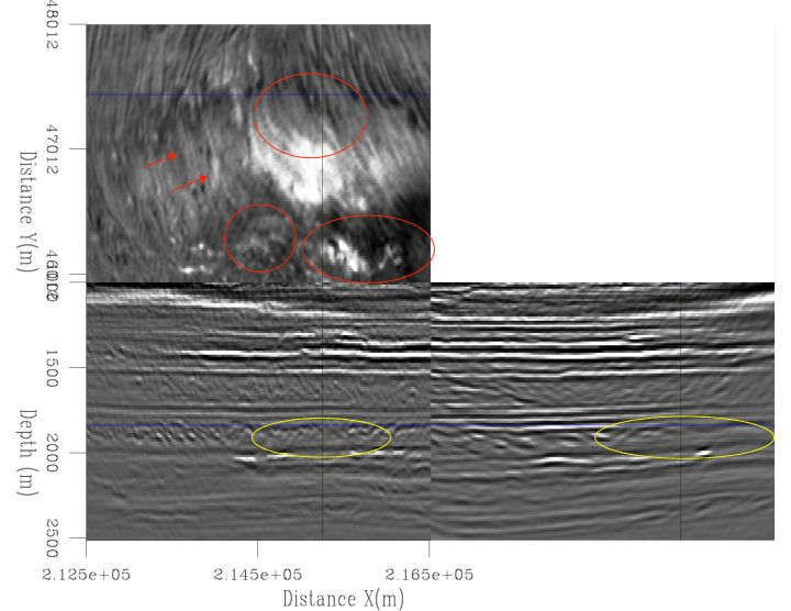 RTM image with WEMVA backgroudn model