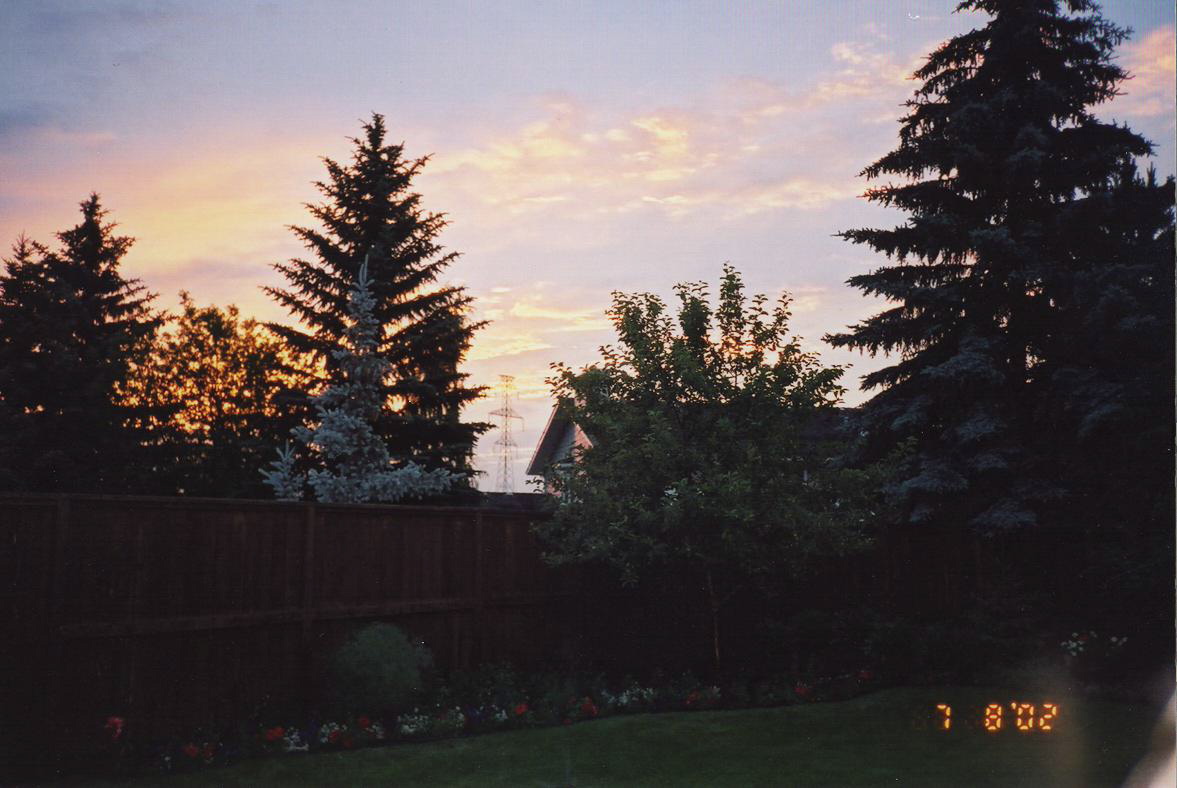 backyard_sunset_1