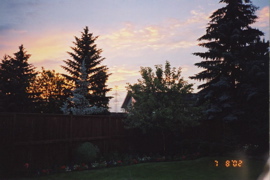 backyard_sunset_1