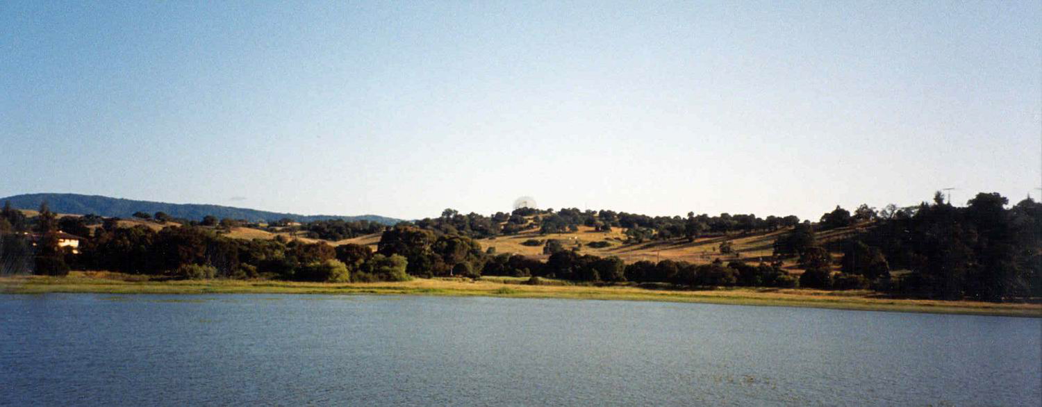 lagunita