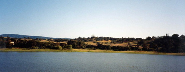 lagunita