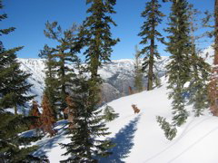 From Back Chair 1