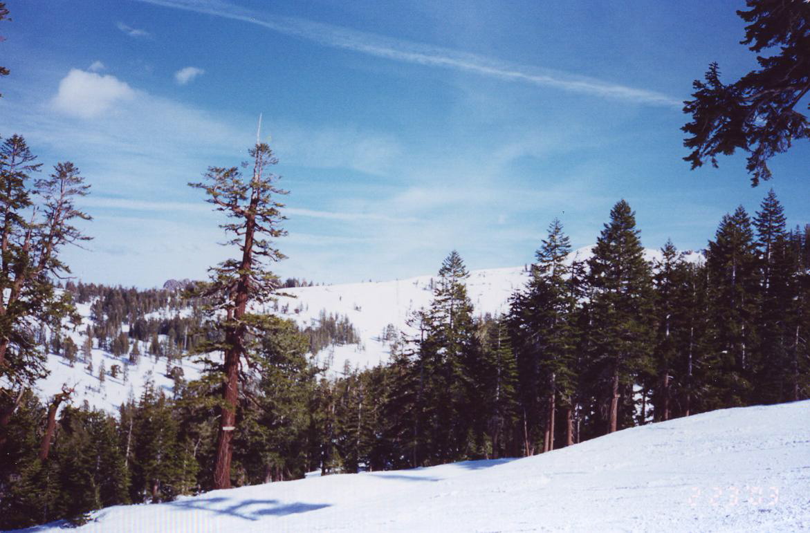 kirkwood03