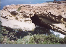 lajolla4