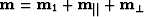 ${\bf m}= {\bf m}_1+ {\bf m}_{\parallel}+ {\bf m}_{\perp}$