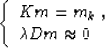 \begin{displaymath}
\left\{\begin{array}
{l}
K m = m_k\;, \ \lambda D m \approx 0\end{array}\right.\end{displaymath}